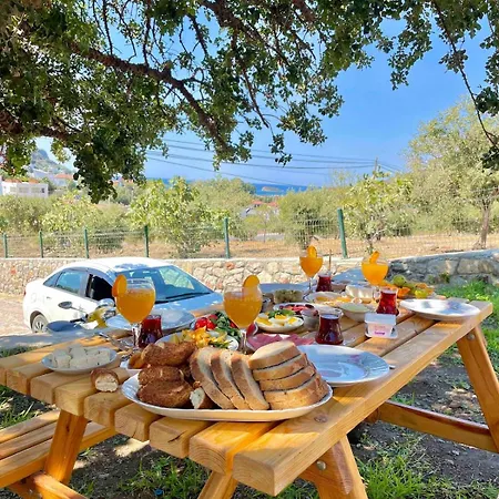 Karaincirevleri Muestakil Tas Ev Casa de Férias *