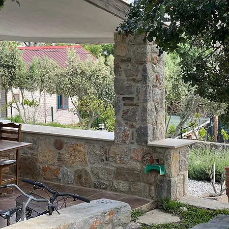 Karaincirevleri *