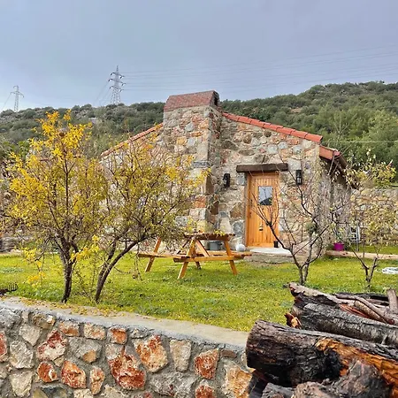 Karaincirevleri *