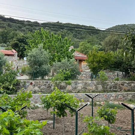 Сasa de vacaciones Karaincirevleri